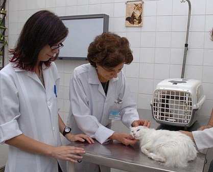 zoologia.jpeg