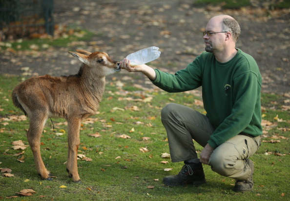 Zoológico de SP oferece curso de Aprimoramento Profissional