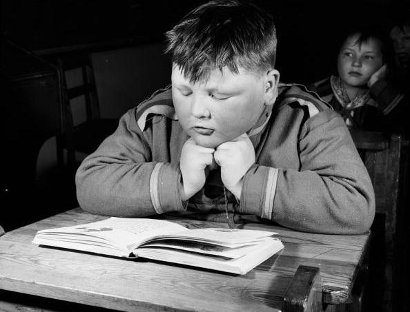 Laplander Pupil
