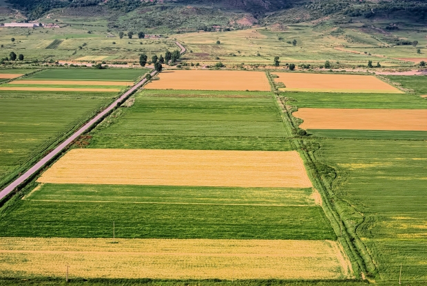 5 faculdades para fazer Agronegócios e Agropecuária