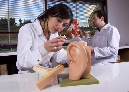 Universidad Austral de Chile