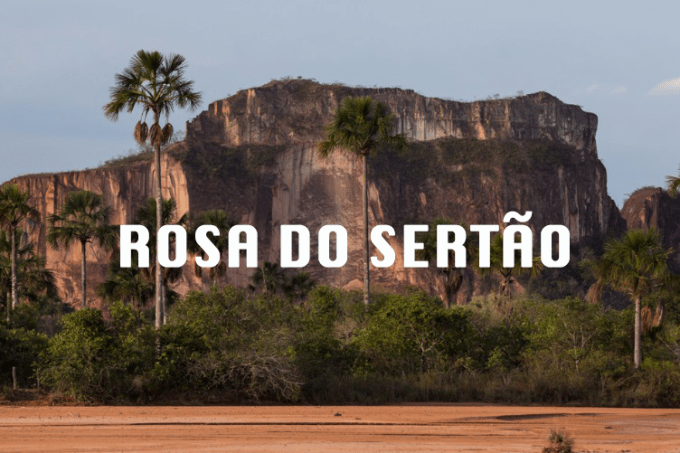 rosa-do-sertao-3×2