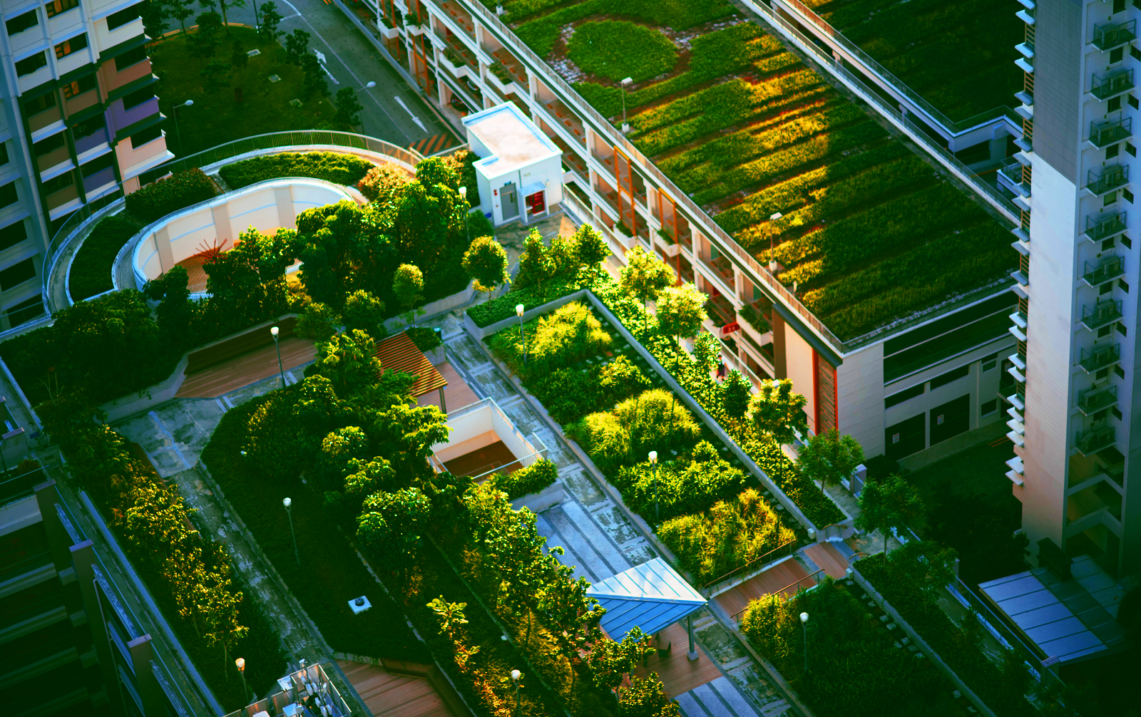 Urbanização e meio ambiente.