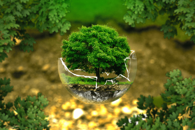[Orientação] Quem faz ciências biológicas pode trabalhar com gestão ambiental_