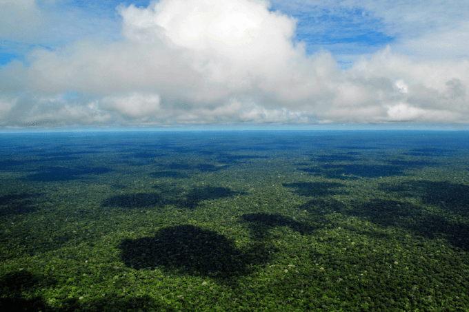 Análise de redação- A importância de proteger a Floresta Amazônica