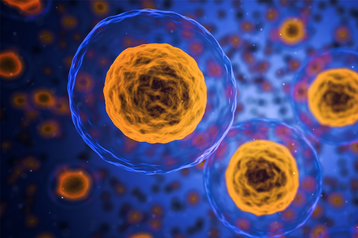 Biologia – Fisiologia Celular