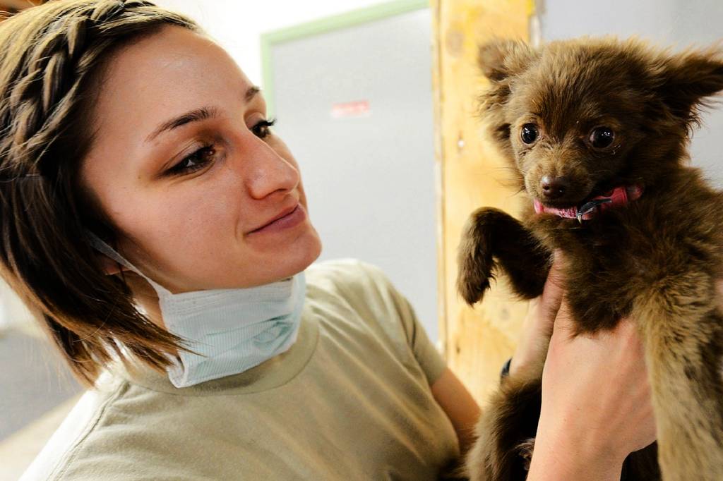 “Quero ser veterinária de hospital, mas onde moro só tem clínica”
