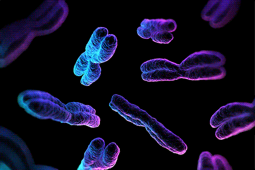 Coronavírus em mudança: conheça os tipos de mutações na Biologia