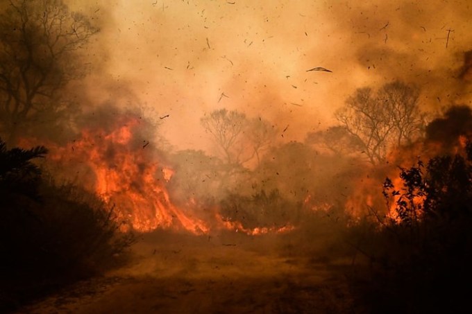 Pantanal On Fire In Brazil