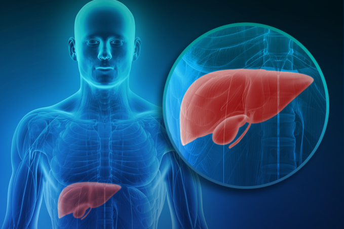 Hepatites