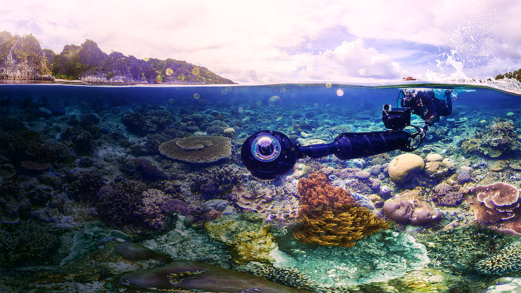 7 documentários sobre o oceano