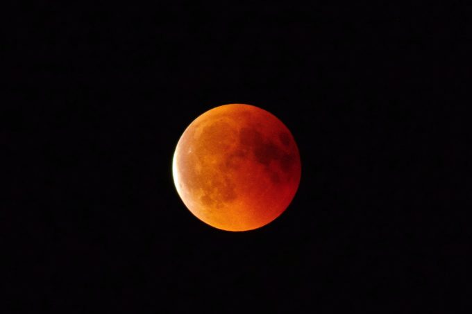 immo-wegmann-lua de sangue