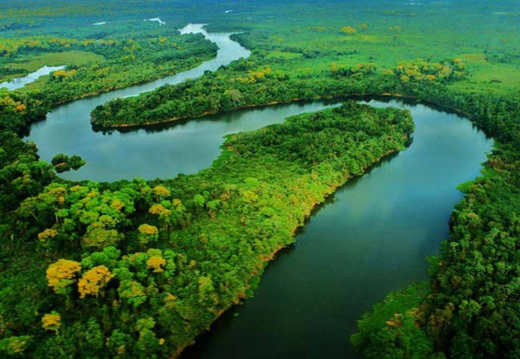 Amazônia
