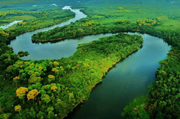 Amazônia