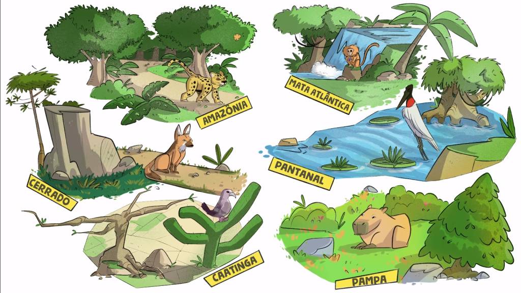 Vídeos retratam a diversidade dos 6 Biomas Brasileiros