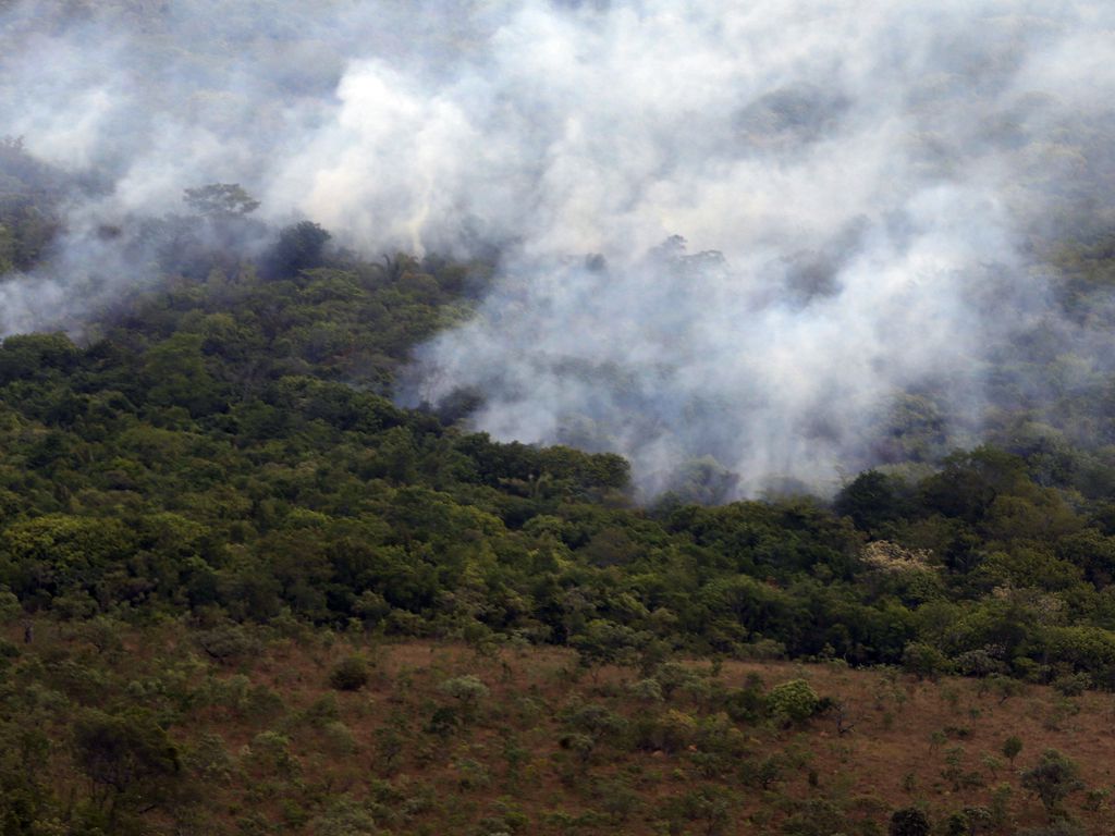 Assuntos sobre meio ambiente que podem ser tema de redação