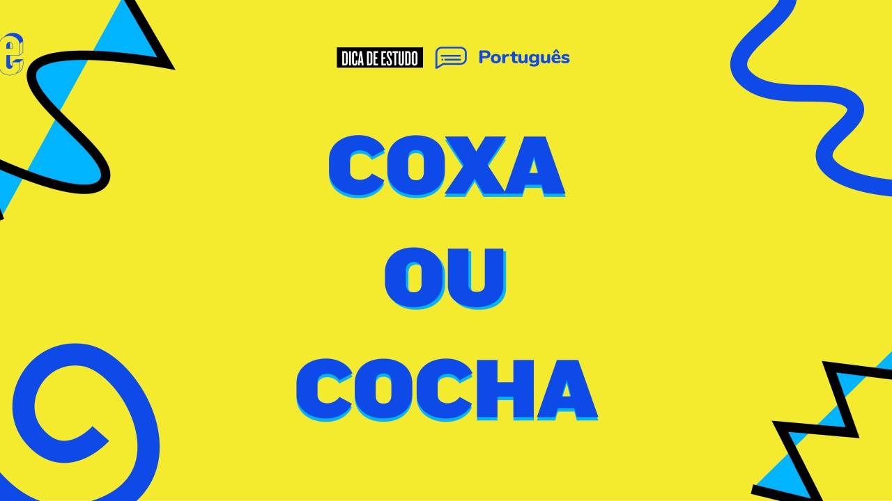 dúvida de português cocha ou coxa