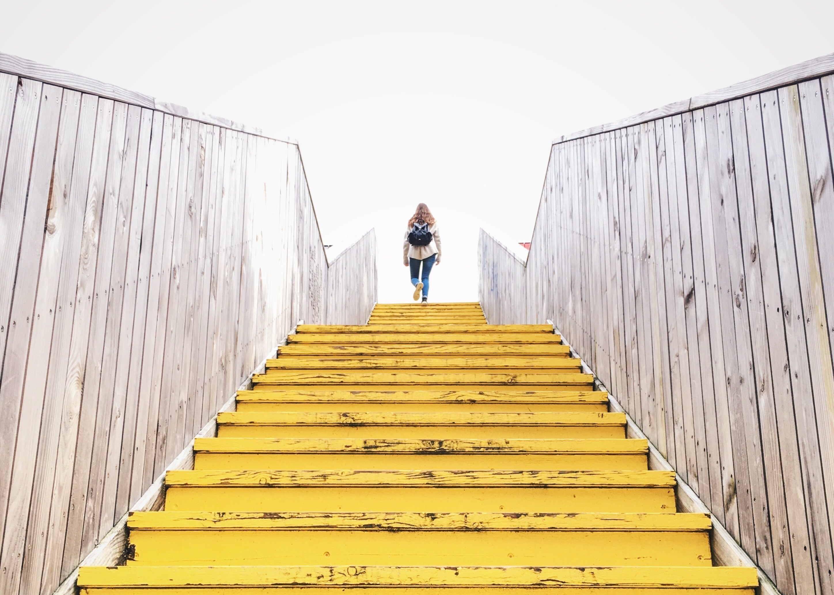 pexels-tomás-monteiro-6345786