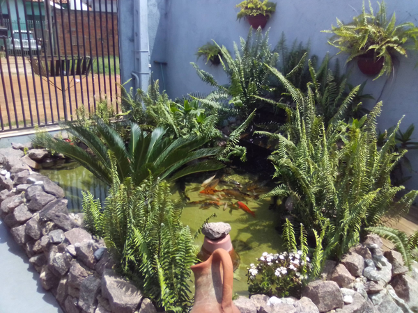censo-5 largo artificial feito no jardim de uma residência