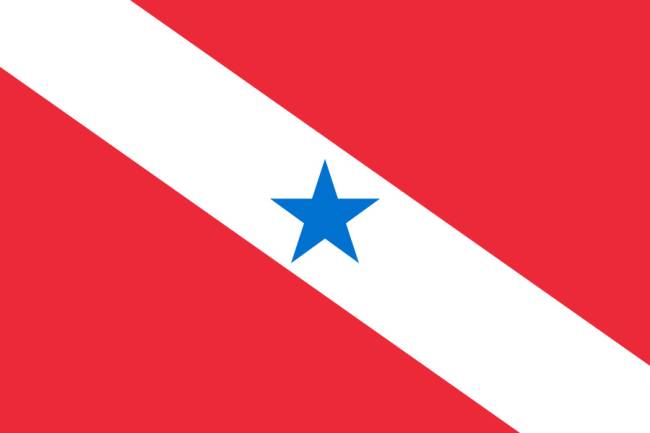Bandeira_do_Pará bandeira do pará
