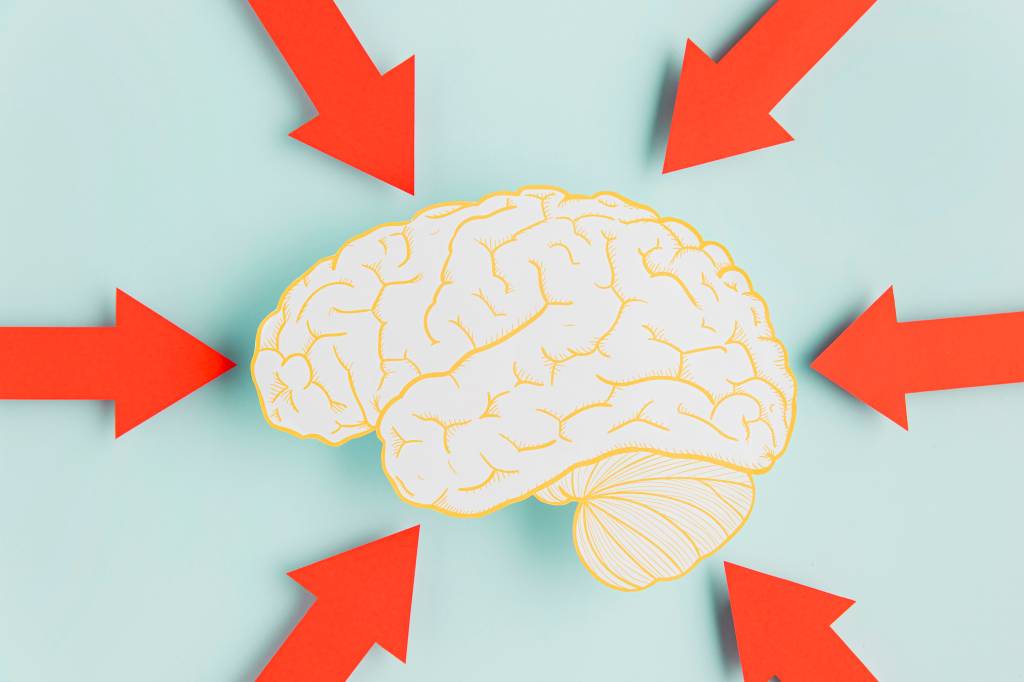 cerebro
