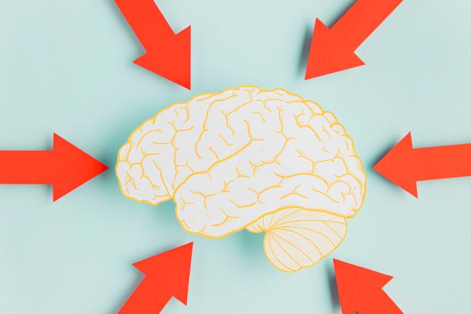 cerebro