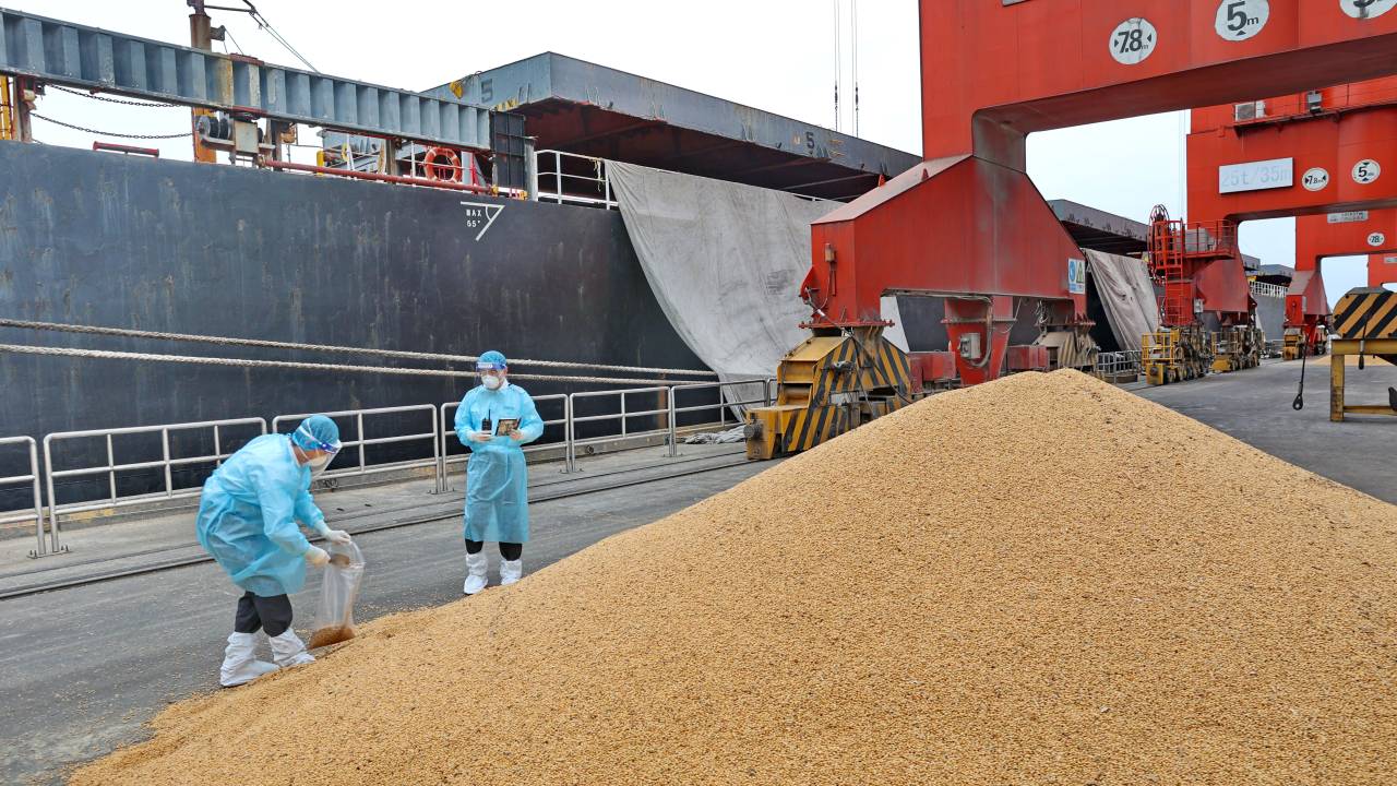 EXPORTAÇÃO Funcionários chineses verificam a soja vinda do Brasil no porto de Nantong, em maio de 2022