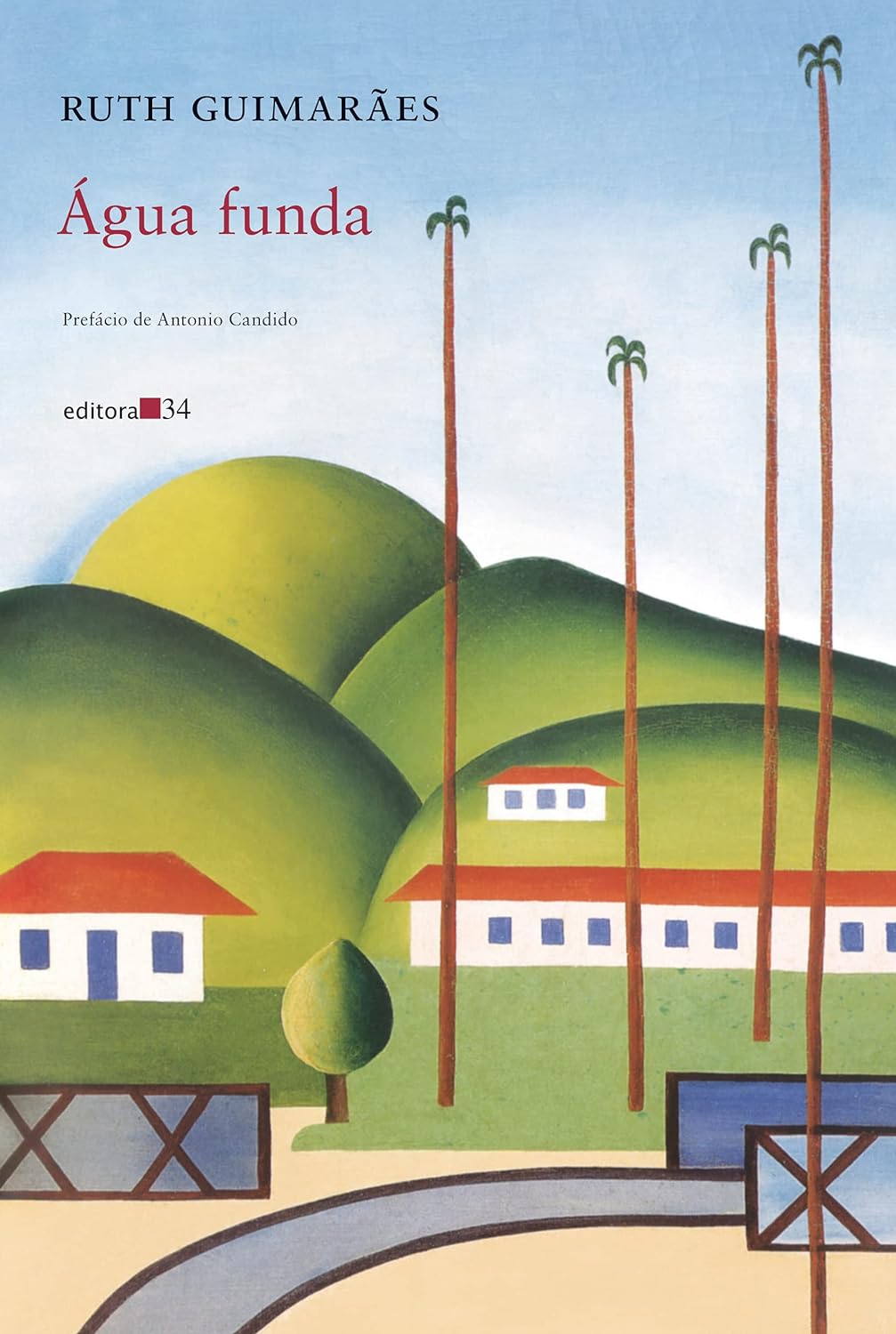 CAPA DO LIVRO ÁGUA FUNDA