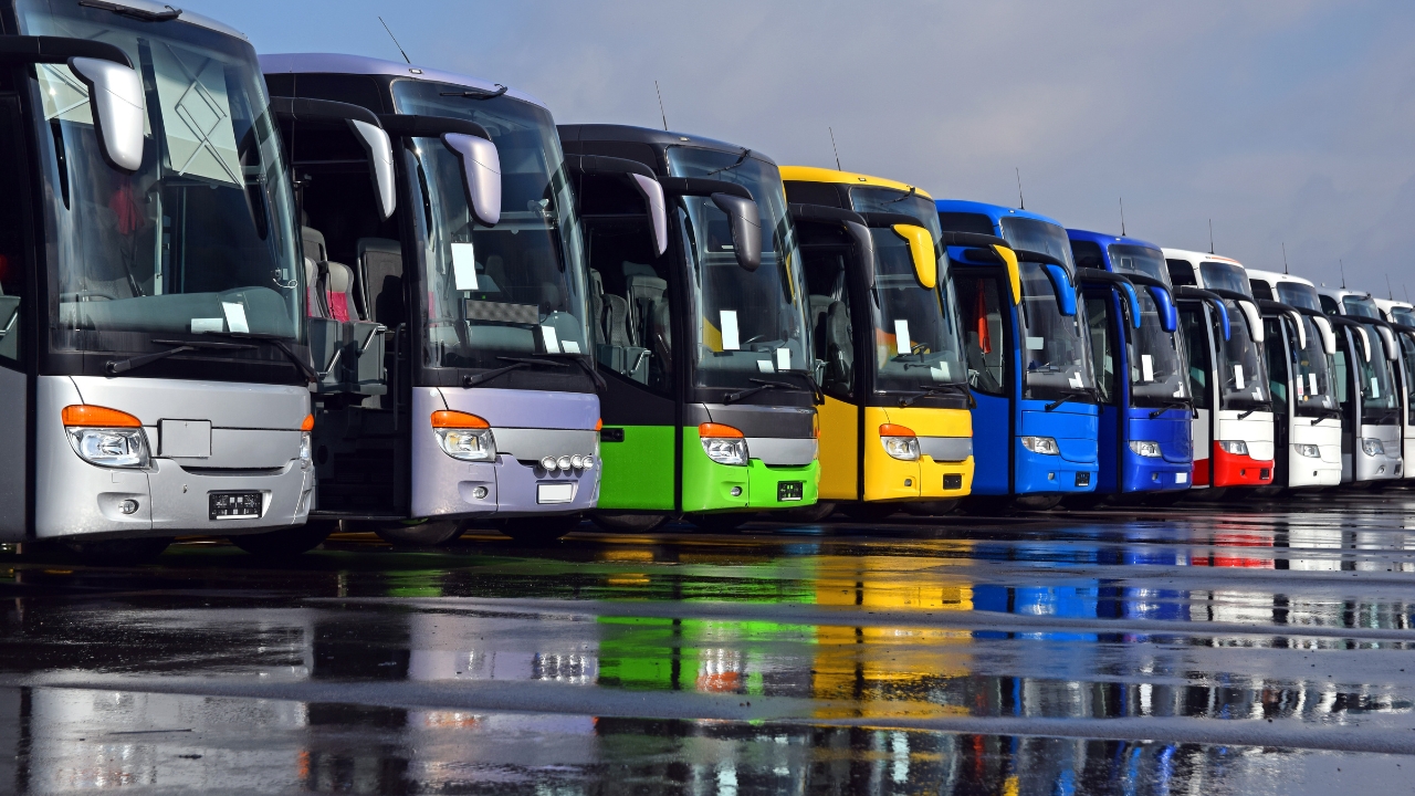 muitos onibus