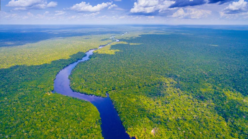 Quais são os 5 maiores rios do mundo? Entenda a disputa pelo 1º lugar