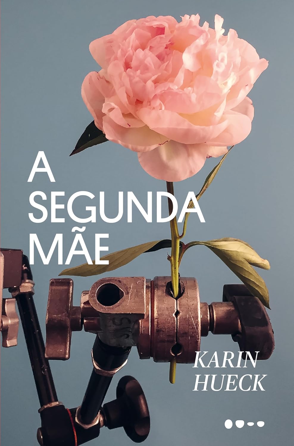 A segunda mãe por Karin Hueck