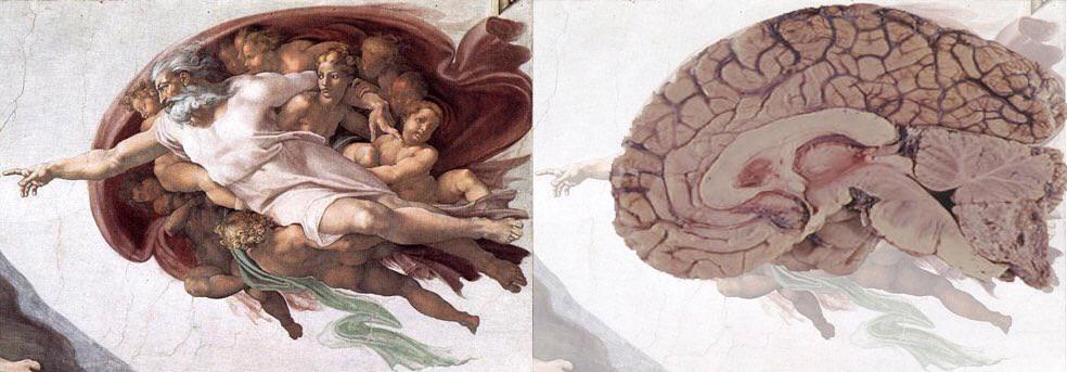 capela-sistina-cerebro