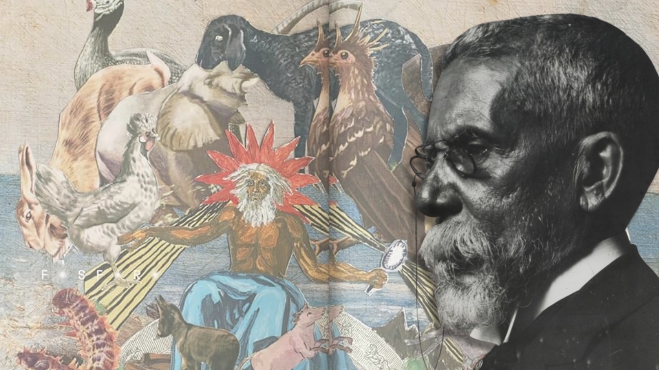 machado de assis animais