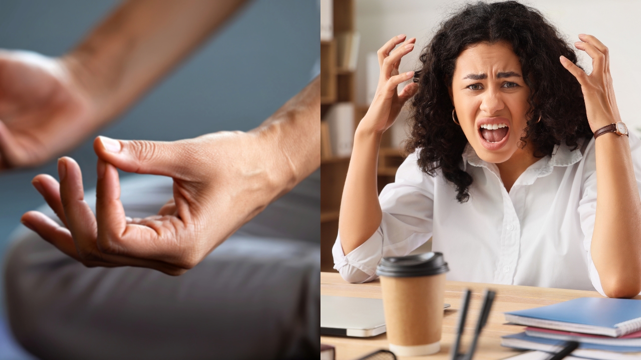 pachorra significado