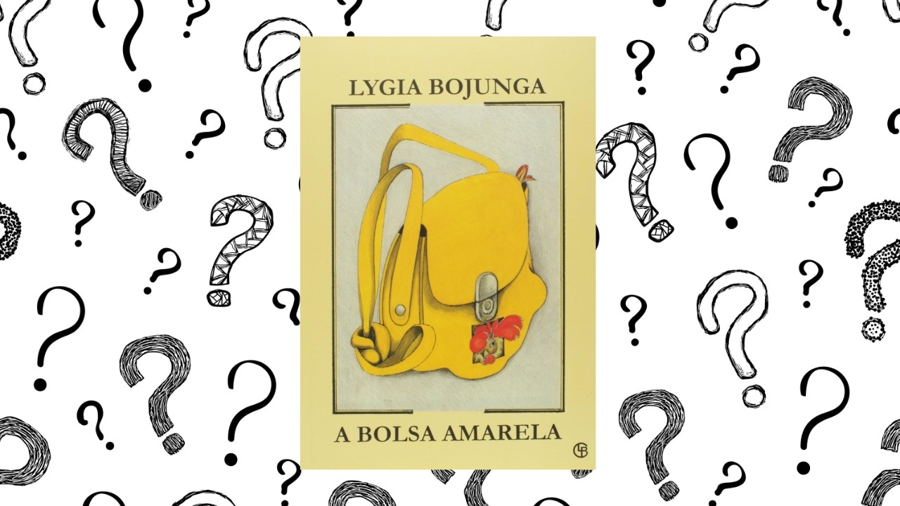 livro a bolsa amarela